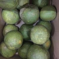 Bán bưởi da xanh, bưởi sạch