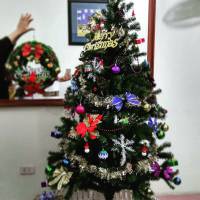 SALE Sốc Cây Thông Noel Cao 150cm Ful Phụ Kiện mới