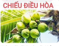 Manh