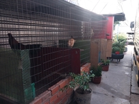 Minh Kỳ Mua Bán Ô Tô