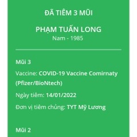 Phạm Tuấn Long