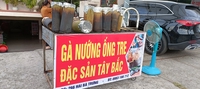 Đặng Văn Duy 